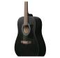 Preview: Ibanez V54NJP-WK Westerngitarren Set