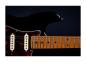 Preview: Jet Guitars JS-300 BK Black E-Gitarre