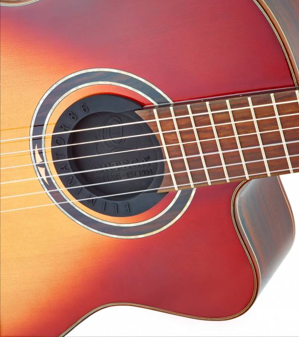 Ortega ELIMINATOR100 Feedback Eliminator